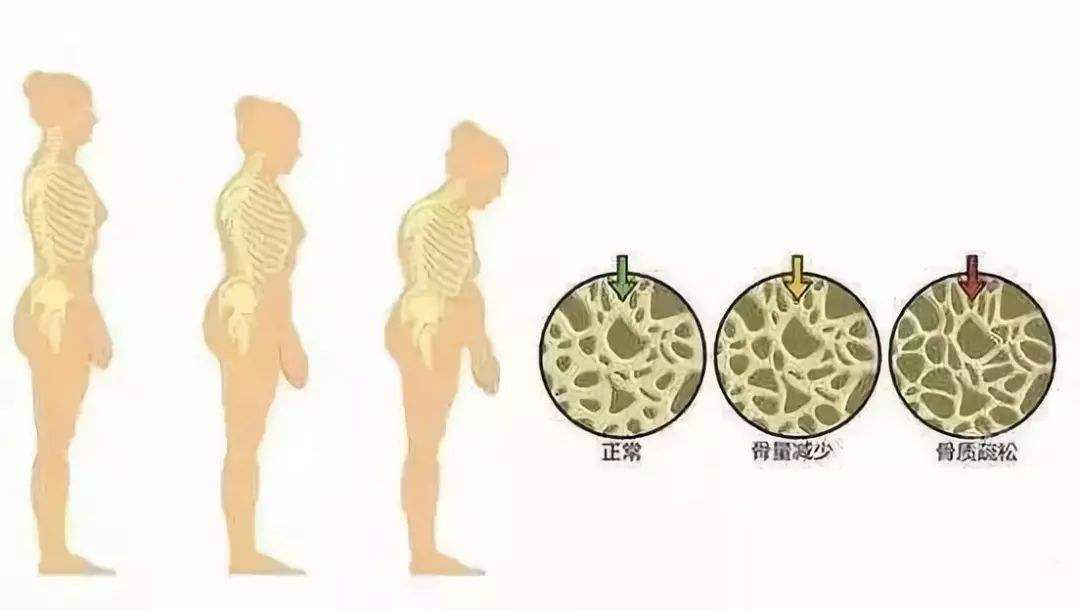https://www.taiaitaibiology.com/products/