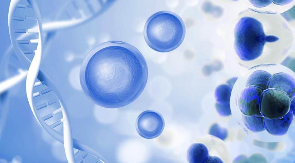 https://www.taiaitaibiology.com/products/