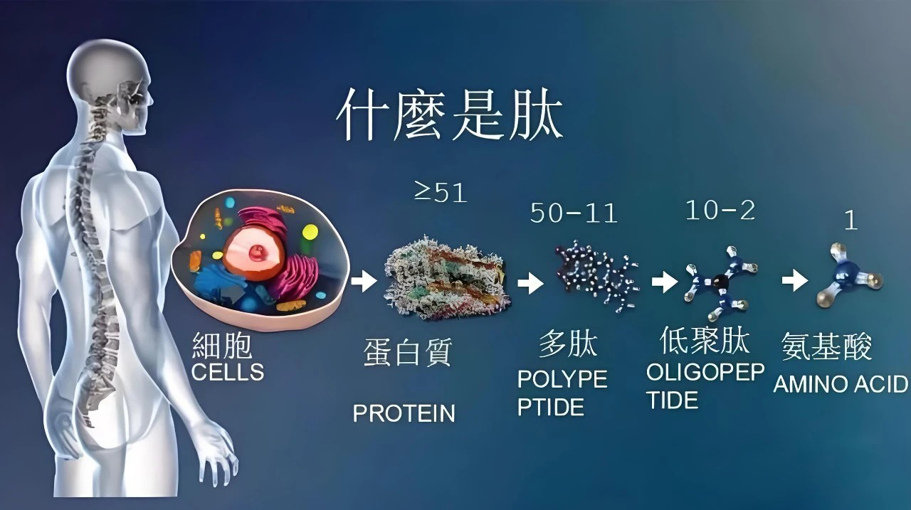https://www.taiaitaibiology.com/products/