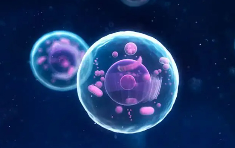 https://www.taiaitaibiology.com/products/
