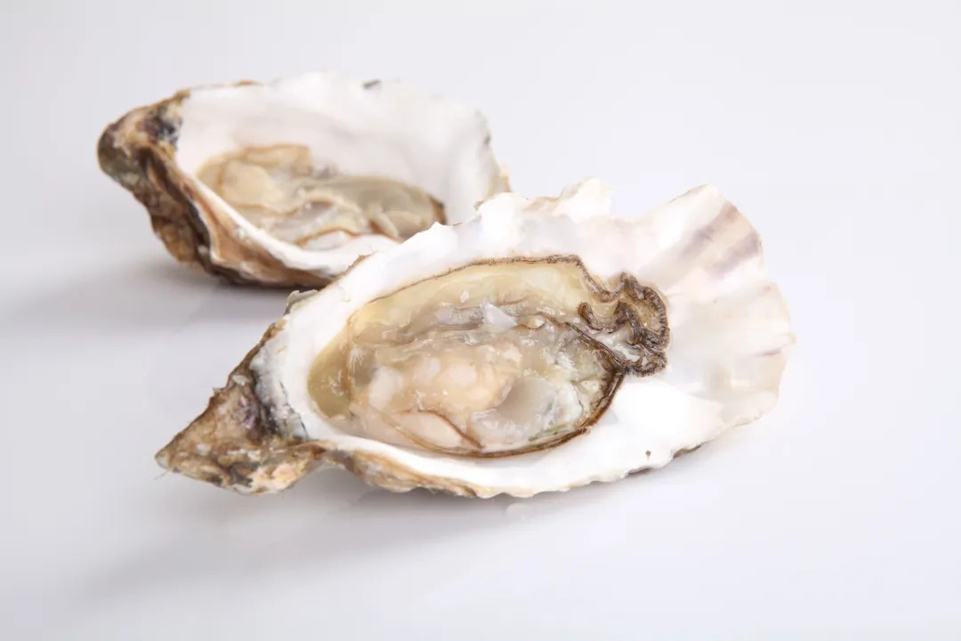 https://www.taiaitaibiology.com/products/