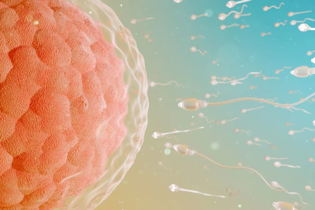https://www.taiaitaibiology.com/products/