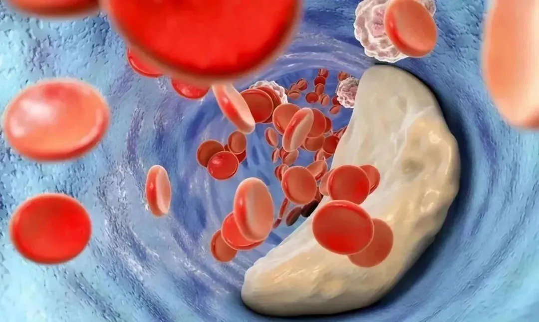 https://www.taiaitaibiology.com/products/