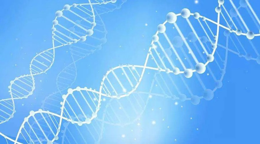 https://www.taiaitaibiology.com/products/