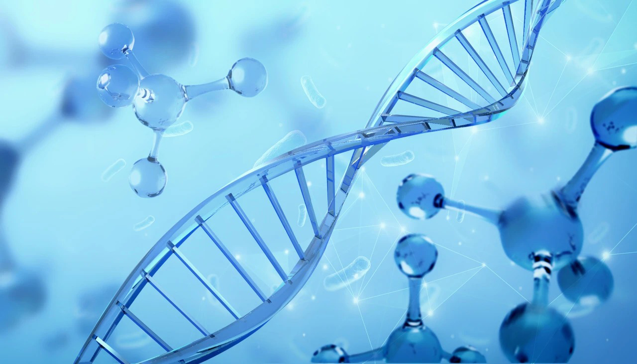 https://www.taiaitaibiology.com/products/