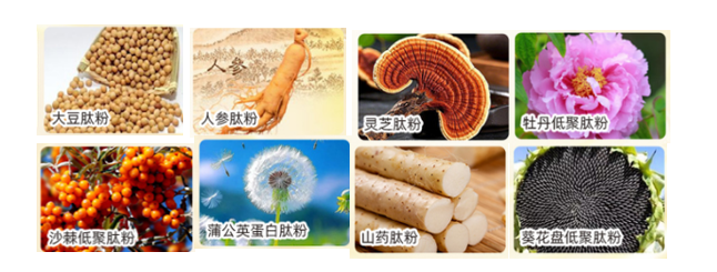 图片_2026-09-18_171551_943