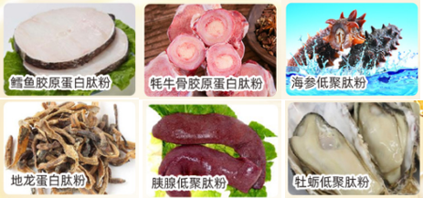 图片_2026-09-18_171556_216