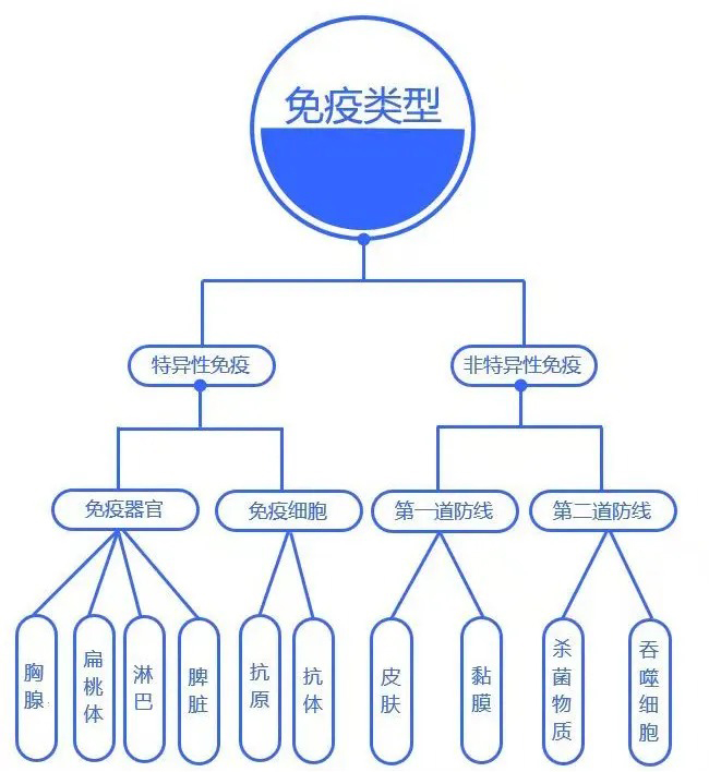 https://www.taiaitaibiology.com/products/
