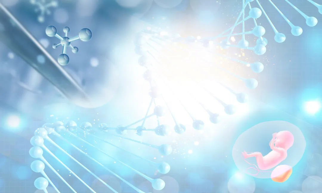 https://www.taiaitaibiology.com/products/