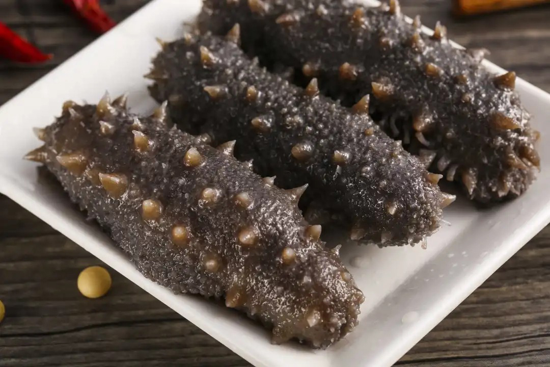 https://www.taiaitaibiology.com/products/